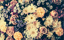 Bloemen